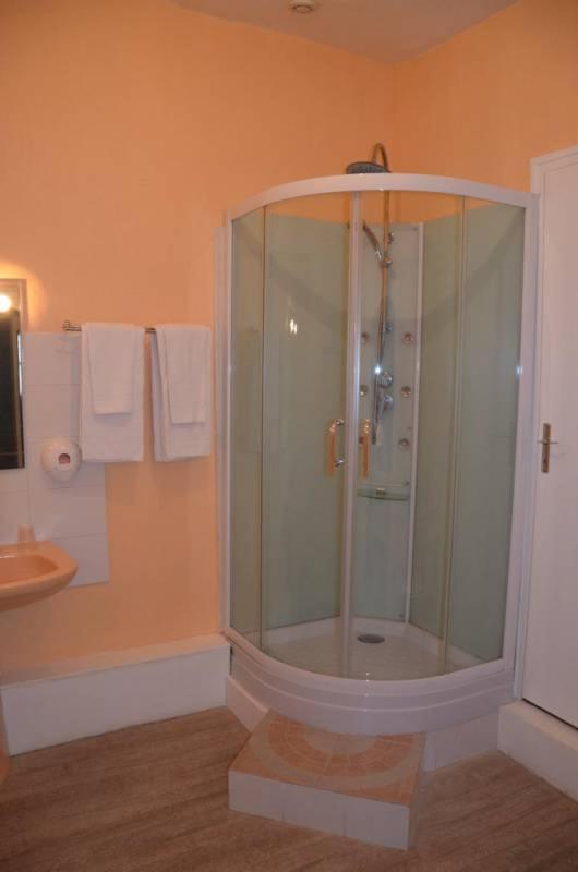 Le Lion D'Or Selles-sur-Cher Exterior foto