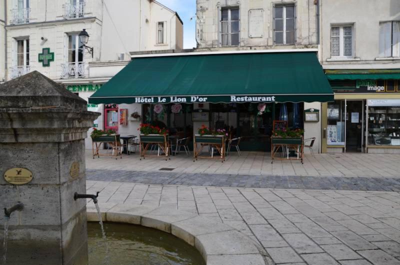 Le Lion D'Or Selles-sur-Cher Exterior foto